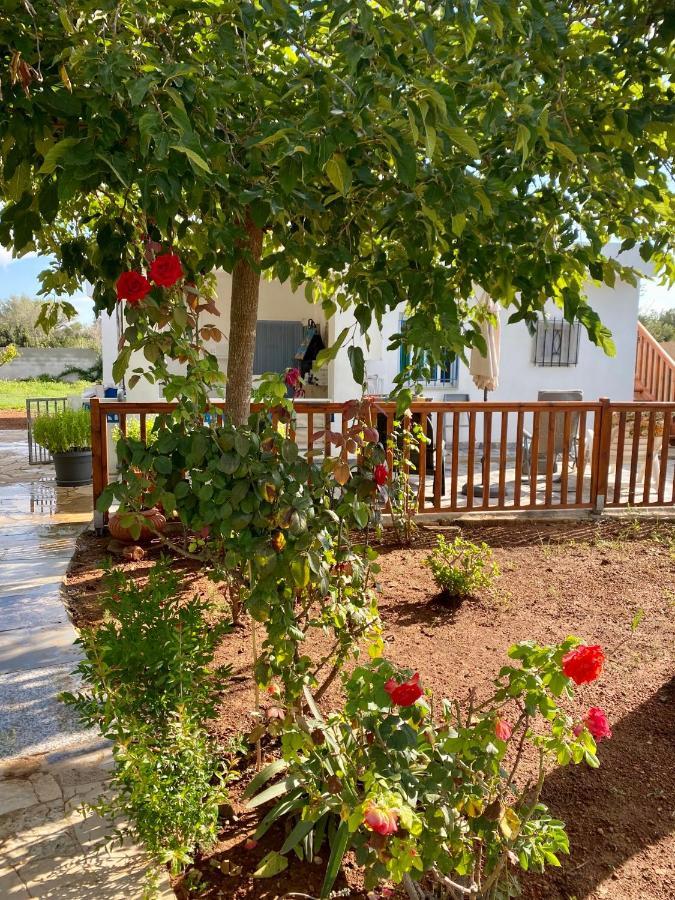 Bed and Breakfast Casa Dominaty Calig Экстерьер фото