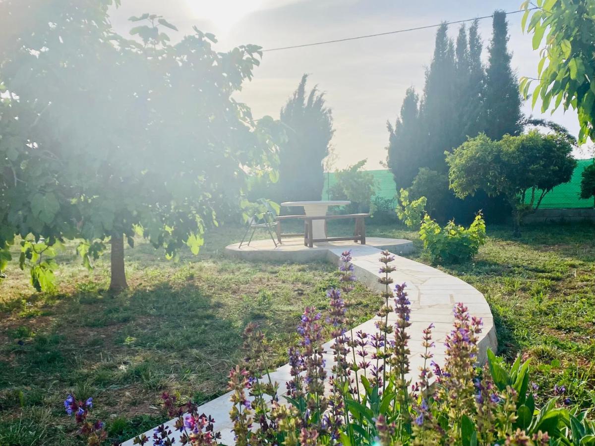 Bed and Breakfast Casa Dominaty Calig Экстерьер фото