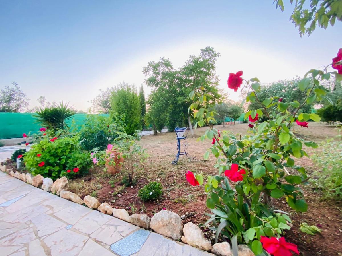 Bed and Breakfast Casa Dominaty Calig Экстерьер фото