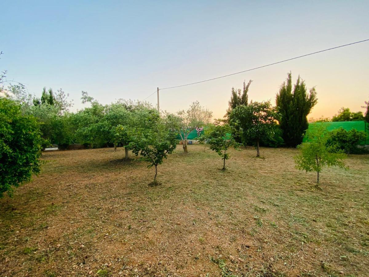 Bed and Breakfast Casa Dominaty Calig Экстерьер фото